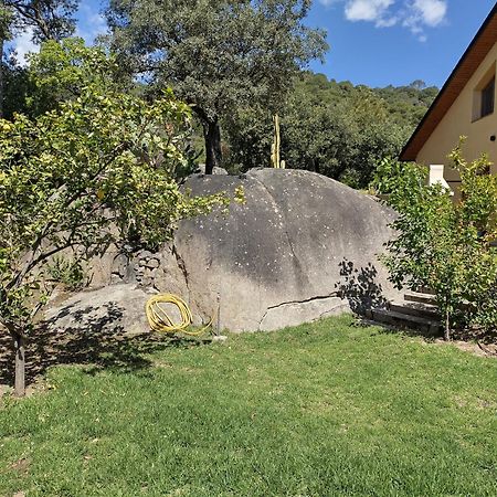 Casa Feliz Vila Sant Cebrià de Vallalta Exterior foto